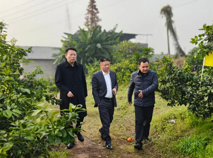 委员助农暖乡野 政企同心促振兴